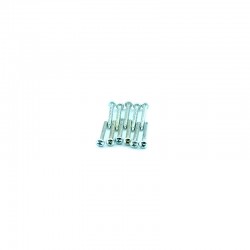 SKRUP TAPING PH + 8 X 1"...