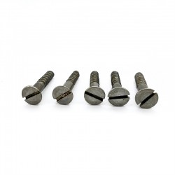 SKRUP SIP 3/4 X 6 RRT (GRS)