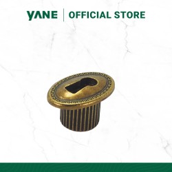 Antique Key Plate PK203 31...