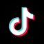 TikTok Logo